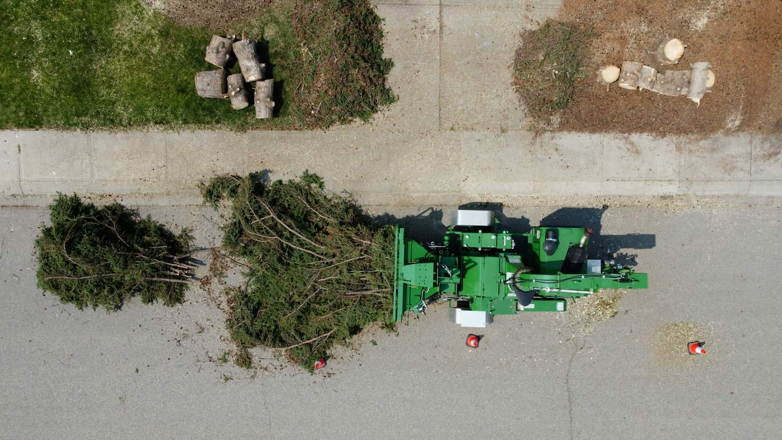 Stump Grinding in Austin TX